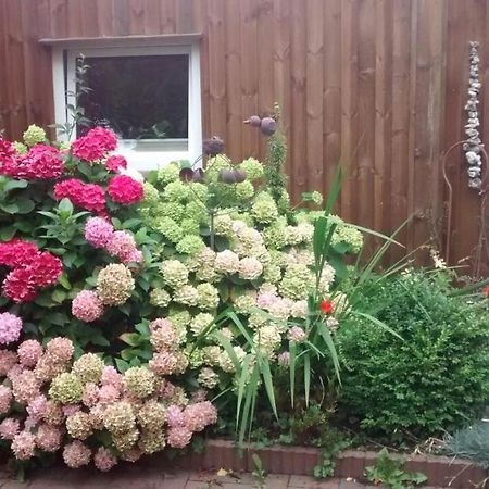 1 Raum Appartement Mit Kuechenzeile In Kappeln Εξωτερικό φωτογραφία