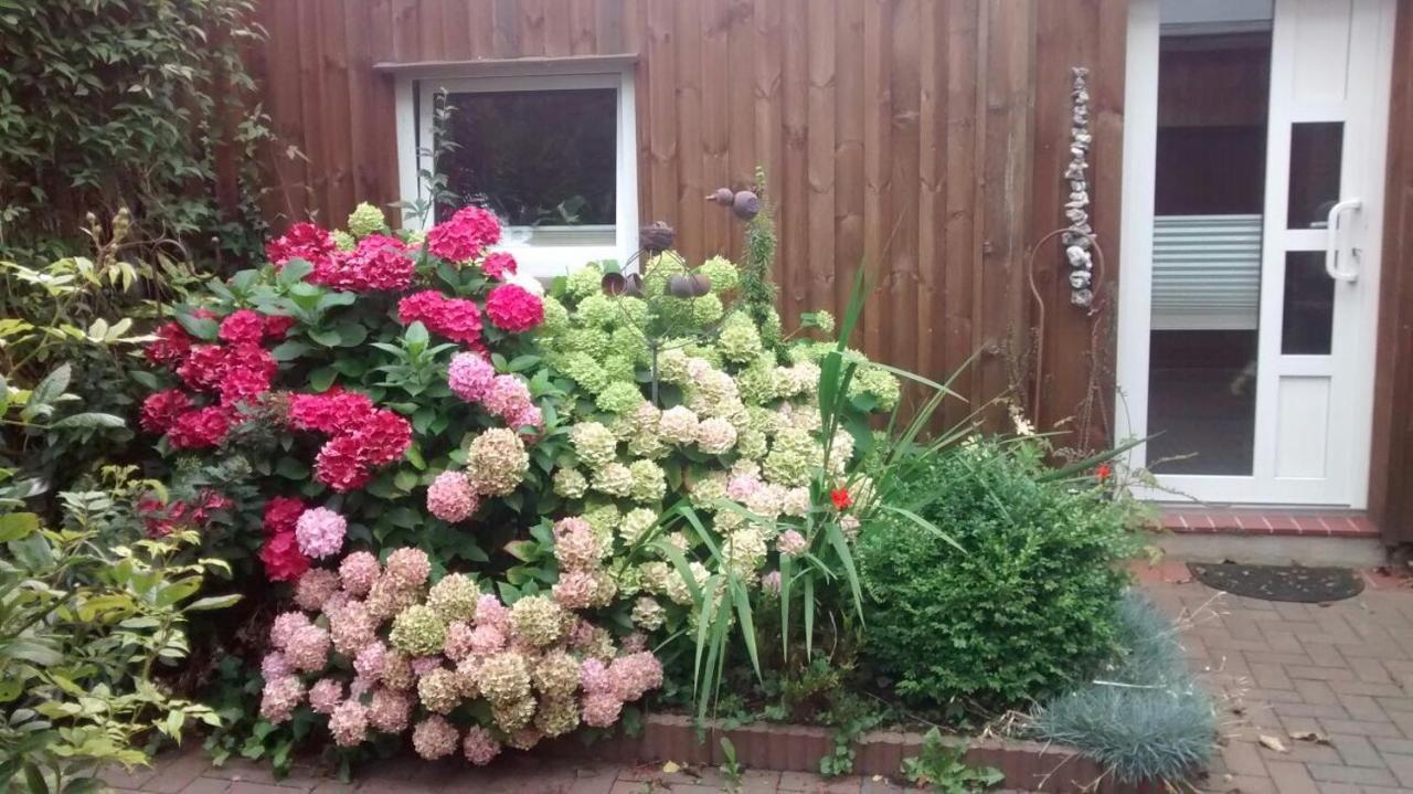 1 Raum Appartement Mit Kuechenzeile In Kappeln Εξωτερικό φωτογραφία